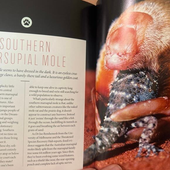 Australian Geographic- Creatura- 109 pages- preowned book- animals 2021 - Picture 5 of 6
